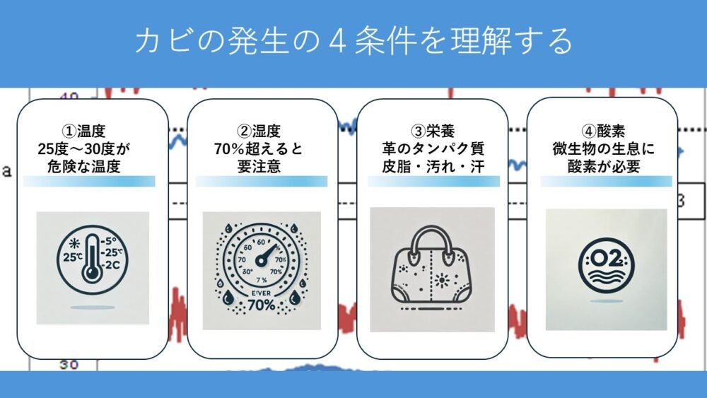 カビが発生する条件